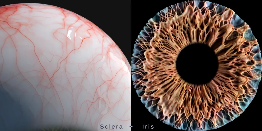 Eye-Z
