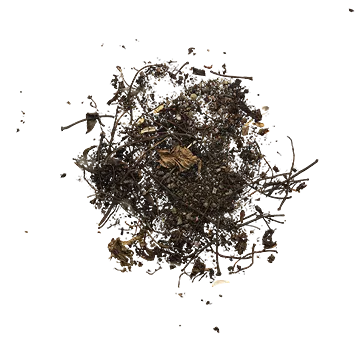 برگ و شاخه14