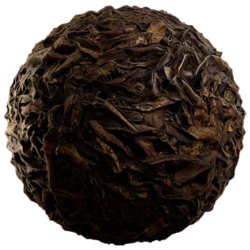 دبریس(Debris)5